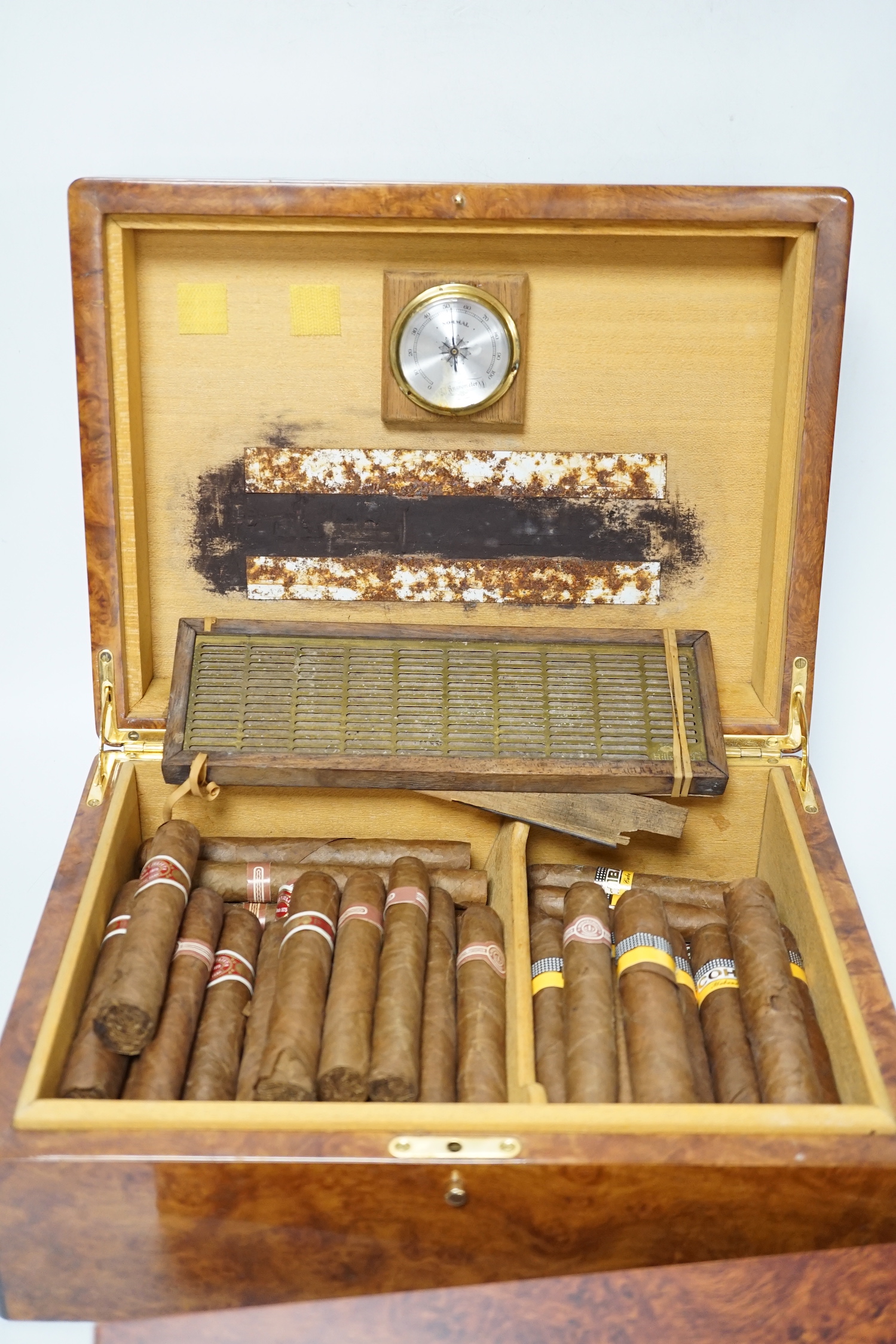 Two burr wood humidors, one with contents including Cohiba